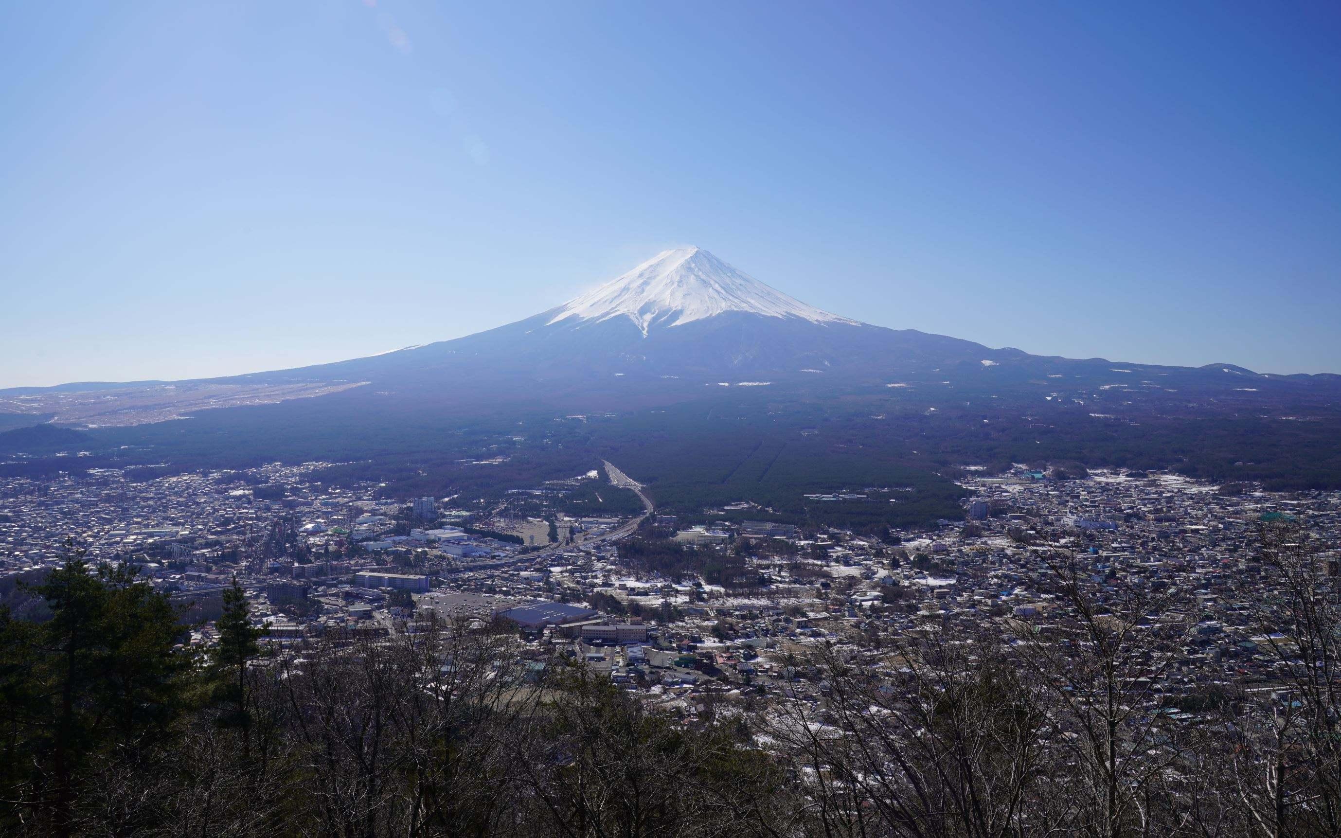 日本樱岛火山喷发，灰柱高达20米——全球瞩目下的自然力量展现