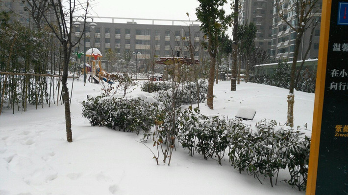 郑州下雪，一场冬日雪舞的美丽邃访