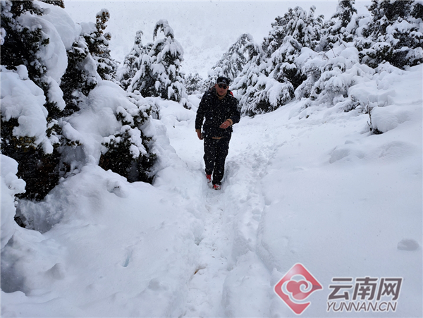 河南多地降下鹅毛大雪，一场冬日瑞雪带来的惊喜与变化