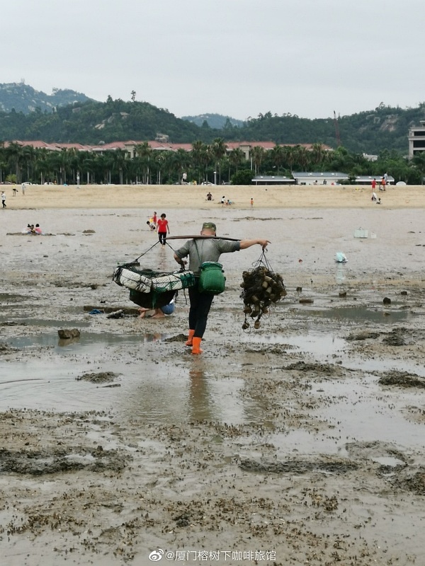 赶海现抓，海鲜盛宴的即时享受