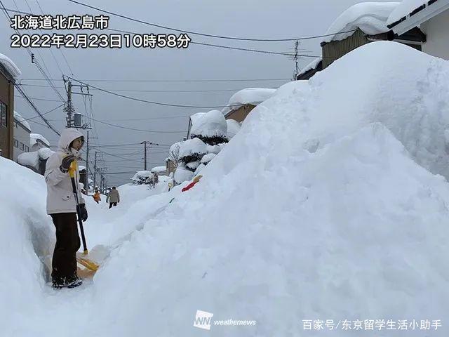 北海道雪量破纪录！漫天飞雪中藏着怎样的秘密？探寻罕见气象背后的真相。