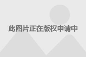 哪吒2票房预测冲破天际，有望达惊人140亿！揭秘其成功之道与观众狂热背后的秘密？一探究竟！深度解析文章大纲