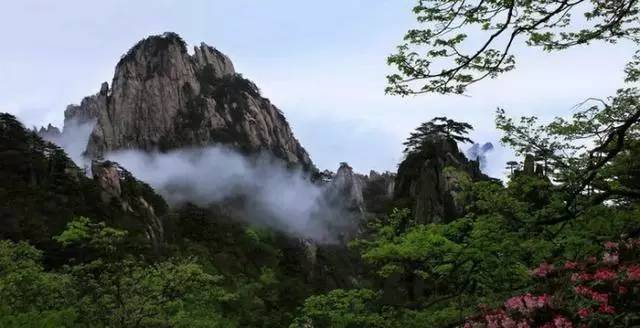 黄山风景区推出全球女性免费门票活动，七天狂欢，惊喜连连！