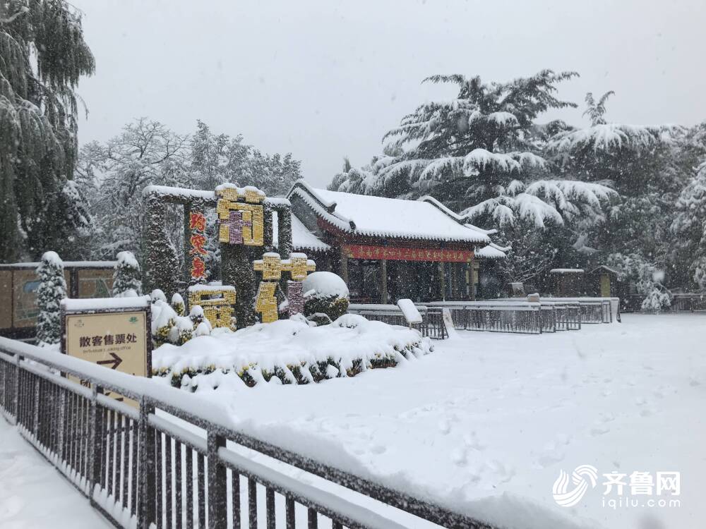 山东多地遭遇罕见暴雪，积雪深度惊人达13厘米——雪灾背后的真相揭秘！标题抢先看，一场突如其来的大雪袭击了齐鲁大地。