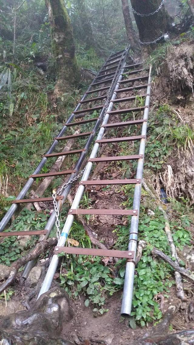 震撼！自费修建百米登山木梯，助力攀登者的壮举背后的故事与攻略深度解析。