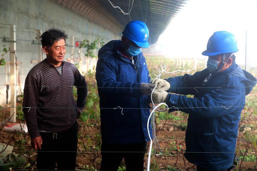 草莓大放送，68元装30斤背后的秘密！澳门独家深度揭秘。