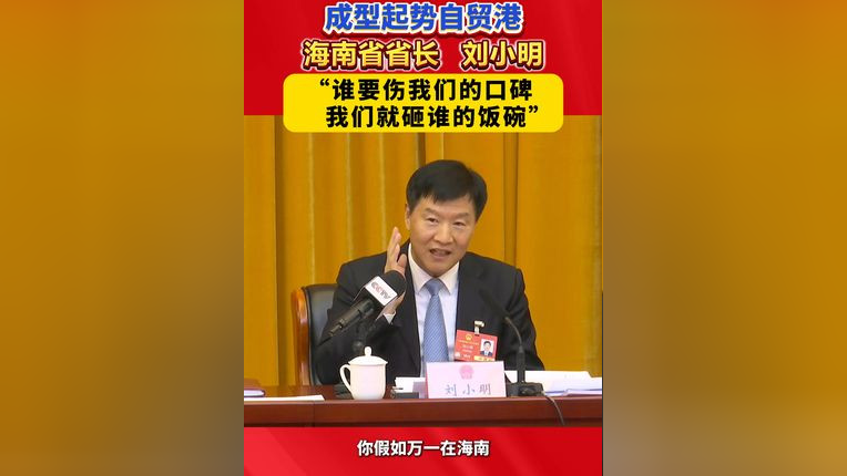 省长誓言，损害海南口碑者，砸其饭碗不留情！深度解析背后的故事与法规。