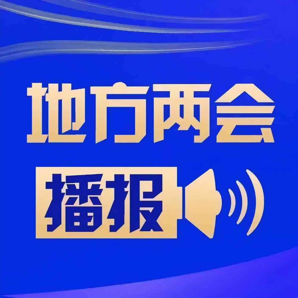 外国青年两会探寻中国发展密码，揭秘崛起背后的力量与智慧！深度解析背后故事引人瞩目。