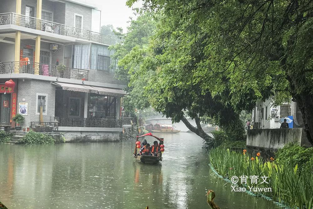 震撼揭秘！湖南桃源县城附近水域惊现鱼群奇观！密集场景前所未见，究竟隐藏着什么秘密？